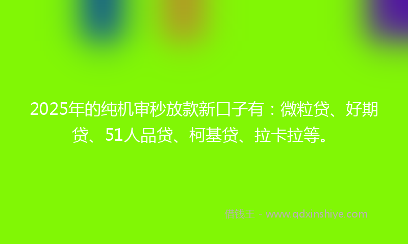 2025年的纯机审秒放款新口子有：微粒贷、好期贷、51人品贷、柯基贷、拉卡拉等。