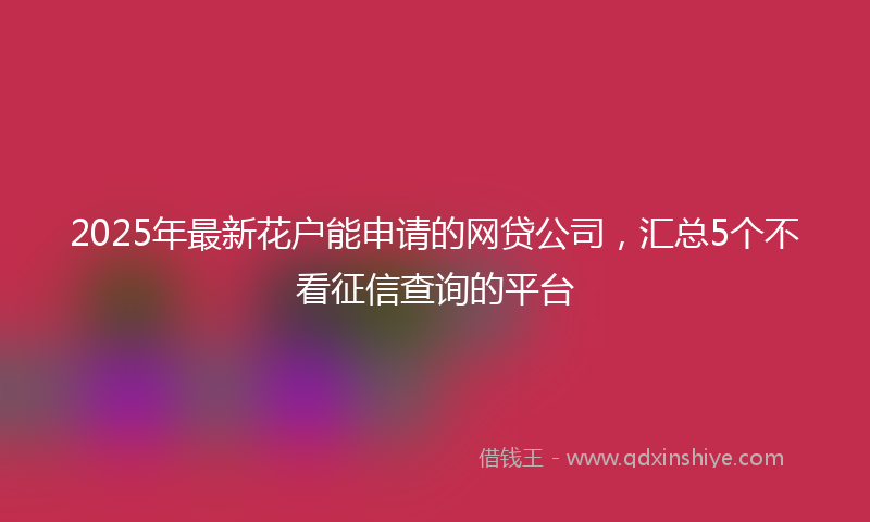2025年最新花户能申请的网贷公司，汇总5个不看征信查询的平台