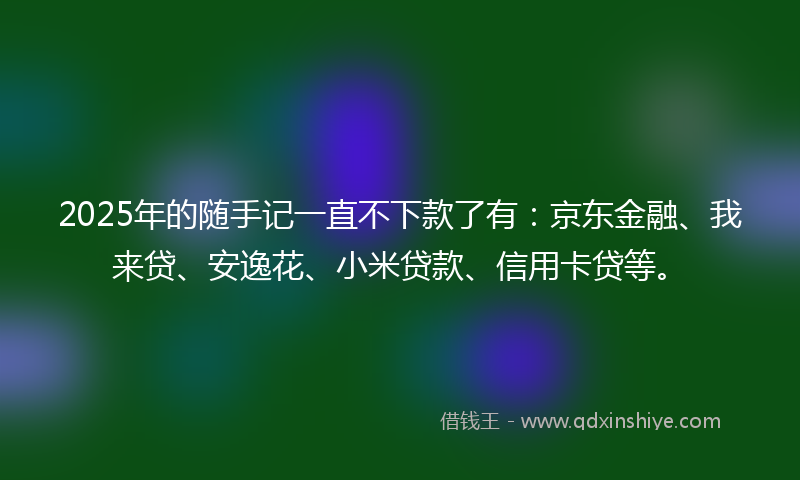 2025年的随手记一直不下款了有：京东金融、我来贷、安逸花、小米贷款、信用卡贷等。