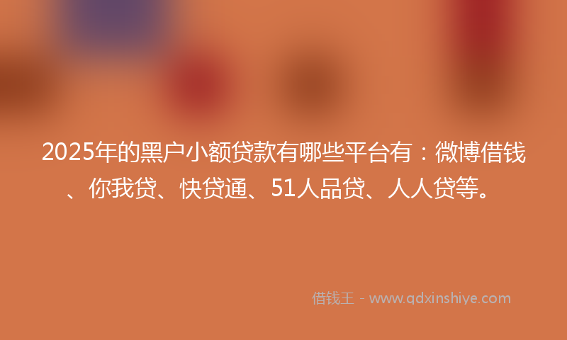 2025年的黑户小额贷款有哪些平台有：微博借钱、你我贷、快贷通、51人品贷、人人贷等。