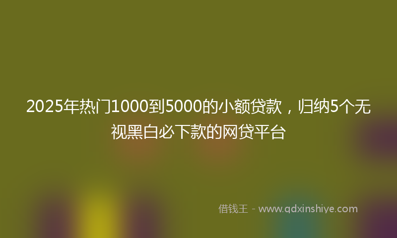 2025年热门1000到5000的小额贷款，归纳5个无视黑白必下款的网贷平台