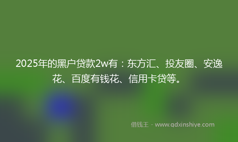 2025年的黑户贷款2w有：东方汇、投友圈、安逸花、百度有钱花、信用卡贷等。