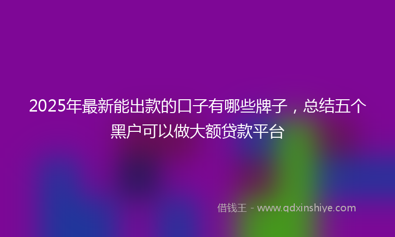 2025年最新能出款的口子有哪些牌子，总结五个黑户可以做大额贷款平台