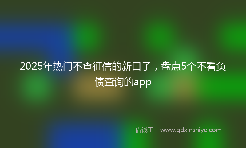 2025年热门不查征信的新口子，盘点5个不看负债查询的app