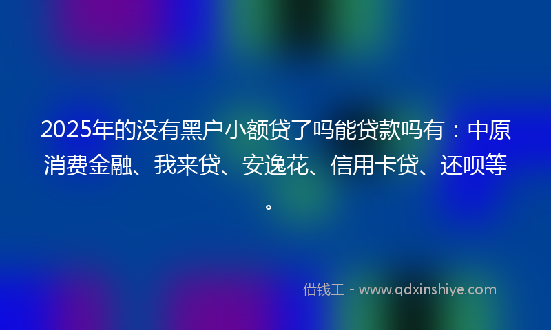 2025年的没有黑户小额贷了吗能贷款吗有：中原消费金融、我来贷、安逸花、信用卡贷、还呗等。