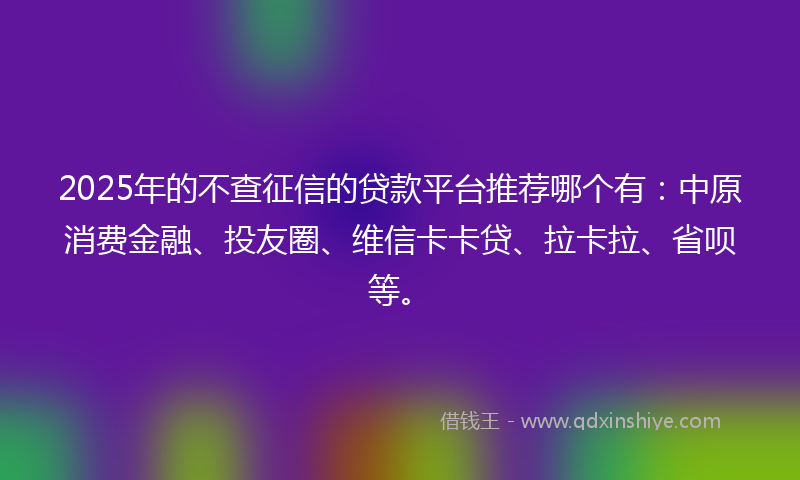 2025年的不查征信的贷款平台推荐哪个有：中原消费金融、投友圈、维信卡卡贷、拉卡拉、省呗等。