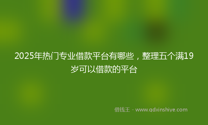 2025年热门专业借款平台有哪些，整理五个满19岁可以借款的平台