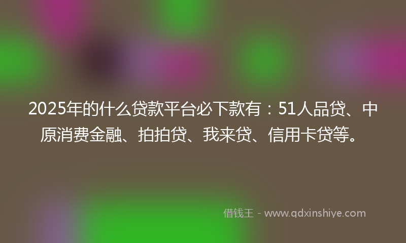 2025年的什么贷款平台必下款有：51人品贷、中原消费金融、拍拍贷、我来贷、信用卡贷等。
