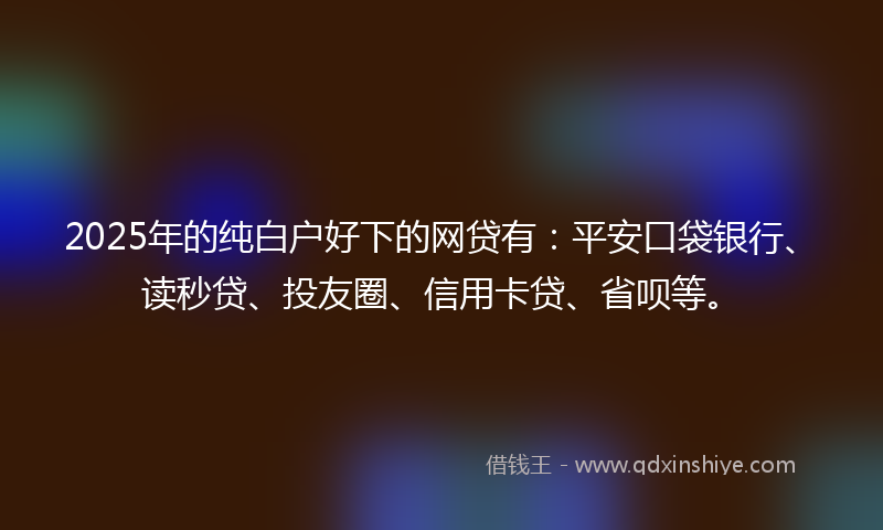 2025年的纯白户好下的网贷有：平安口袋银行、读秒贷、投友圈、信用卡贷、省呗等。