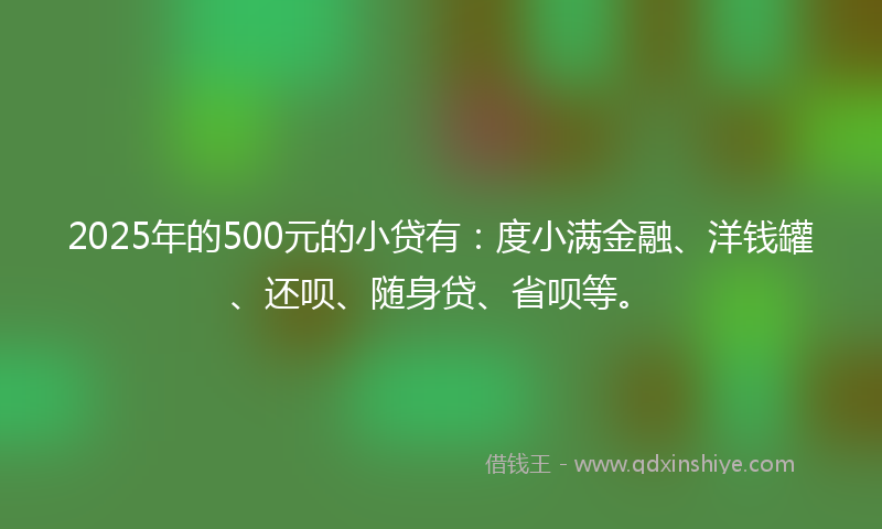 2025年的500元的小贷有：度小满金融、洋钱罐、还呗、随身贷、省呗等。
