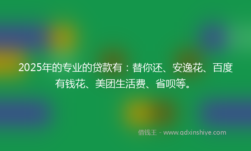 2025年的专业的贷款有：替你还、安逸花、百度有钱花、美团生活费、省呗等。