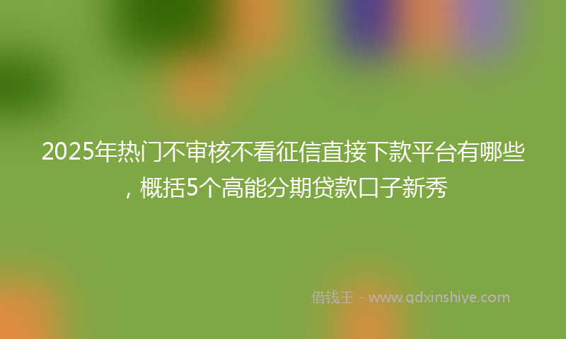 2025年热门不审核不看征信直接下款平台有哪些，概括5个高能分期贷款口子新秀