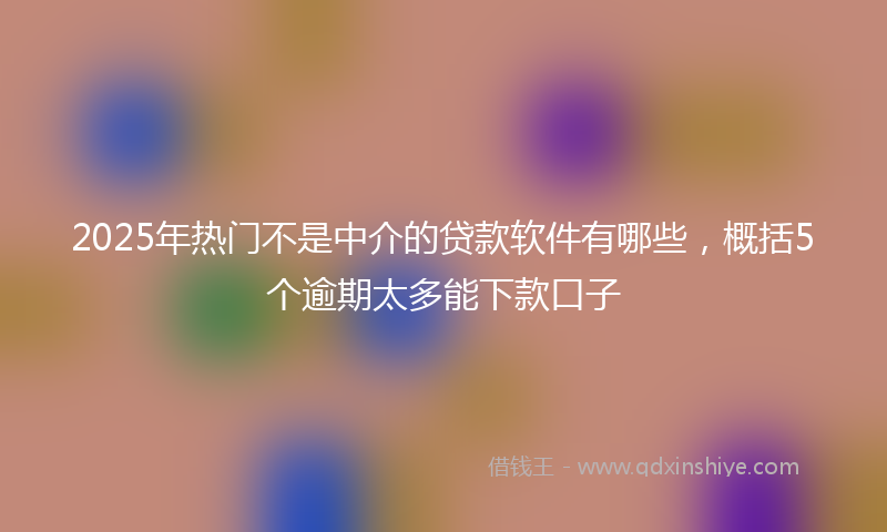 2025年热门不是中介的贷款软件有哪些，概括5个逾期太多能下款口子