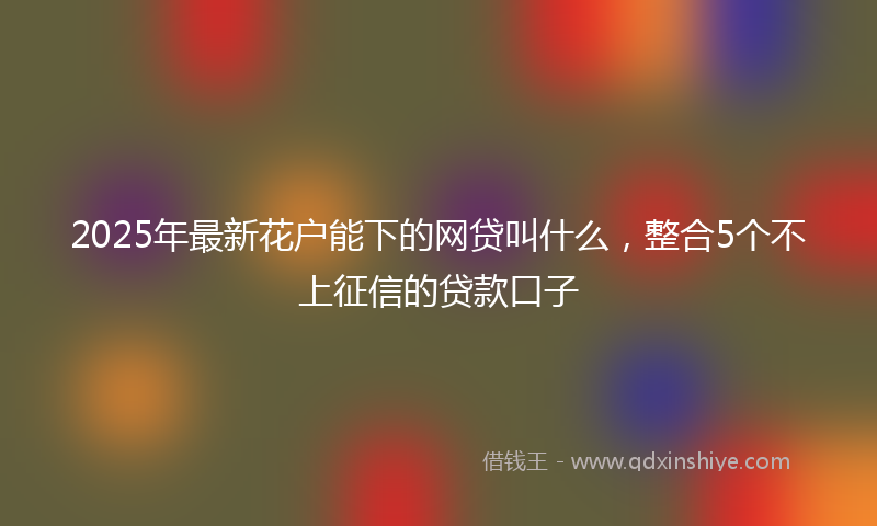 2025年最新花户能下的网贷叫什么，整合5个不上征信的贷款口子