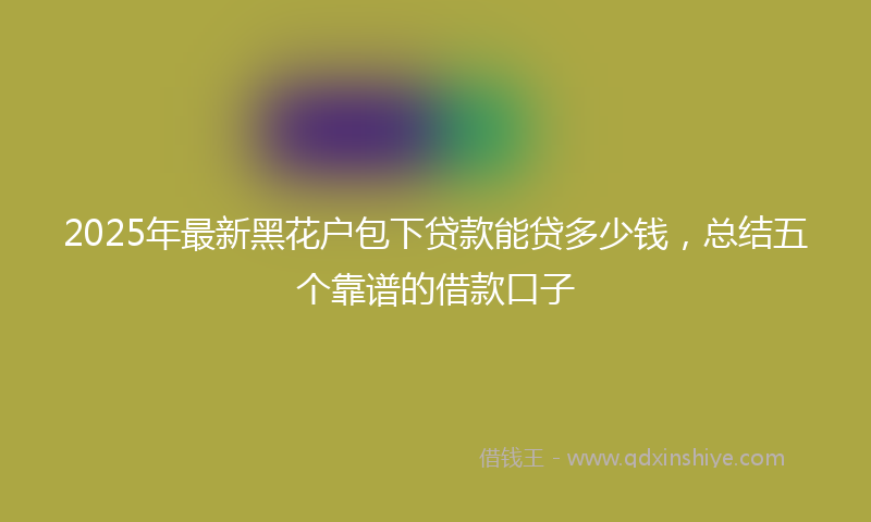 2025年最新黑花户包下贷款能贷多少钱，总结五个靠谱的借款口子