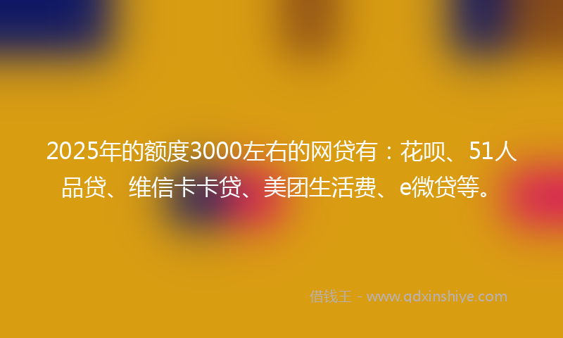 2025年的额度3000左右的网贷有：花呗、51人品贷、维信卡卡贷、美团生活费、e微贷等。