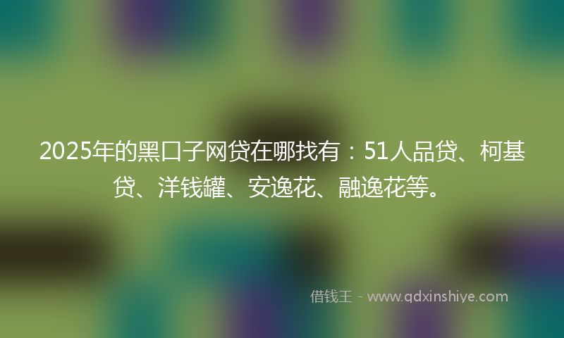 2025年的黑口子网贷在哪找有：51人品贷、柯基贷、洋钱罐、安逸花、融逸花等。