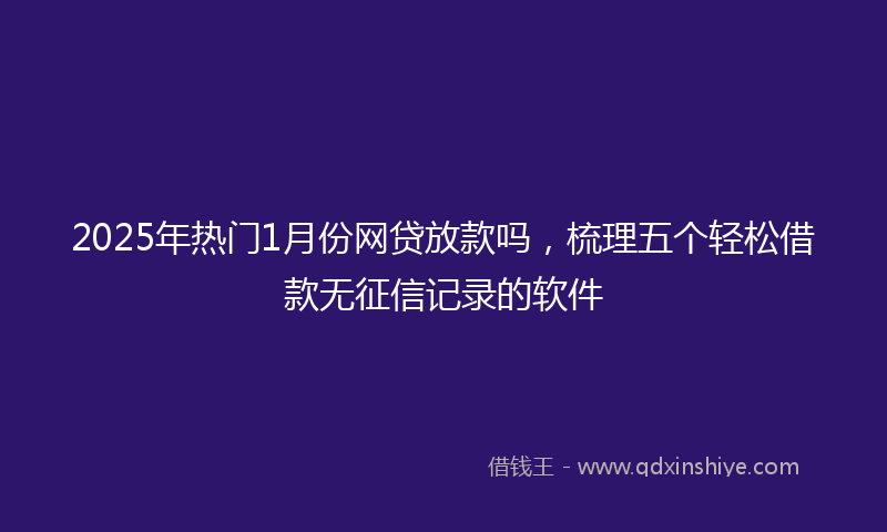 2025年热门1月份网贷放款吗，梳理五个轻松借款无征信记录的软件