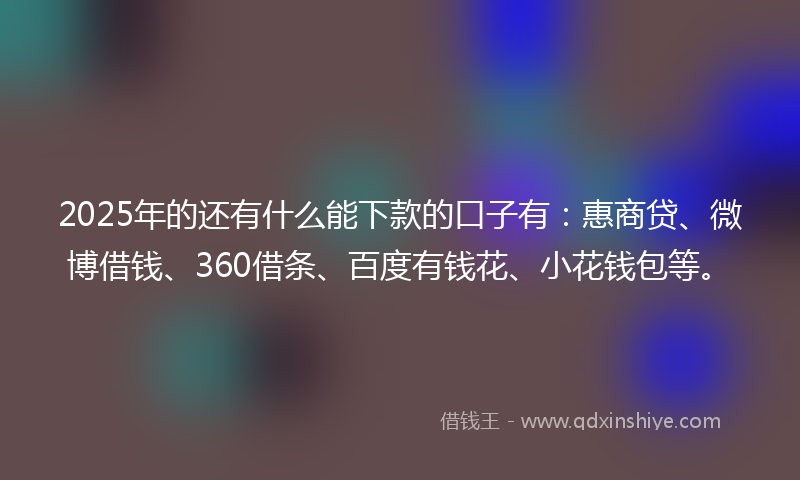 2025年的还有什么能下款的口子有：惠商贷、微博借钱、360借条、百度有钱花、小花钱包等。