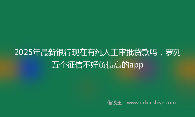 2025年最新银行现在有纯人工审批贷款吗，罗列五个征信不好负债高的app