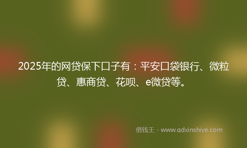 2025年的网贷保下口子有：平安口袋银行、微粒贷、惠商贷、花呗、e微贷等。