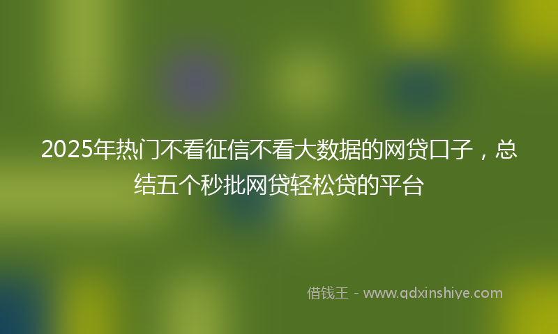 2025年热门不看征信不看大数据的网贷口子，总结五个秒批网贷轻松贷的平台