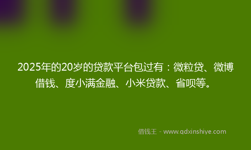 2025年的20岁的贷款平台包过有：微粒贷、微博借钱、度小满金融、小米贷款、省呗等。