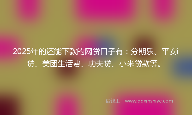 2025年的还能下款的网贷口子有：分期乐、平安i贷、美团生活费、功夫贷、小米贷款等。