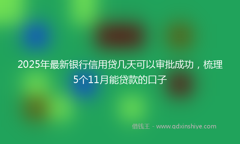 2025年最新银行信用贷几天可以审批成功,梳理5个11月能贷款的口子