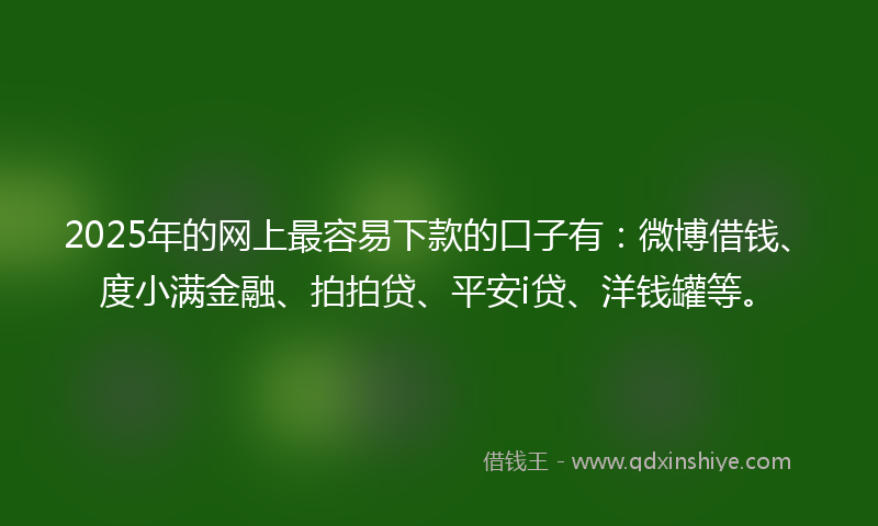 2025年的网上最容易下款的口子有：微博借钱、度小满金融、拍拍贷、平安i贷、洋钱罐等。
