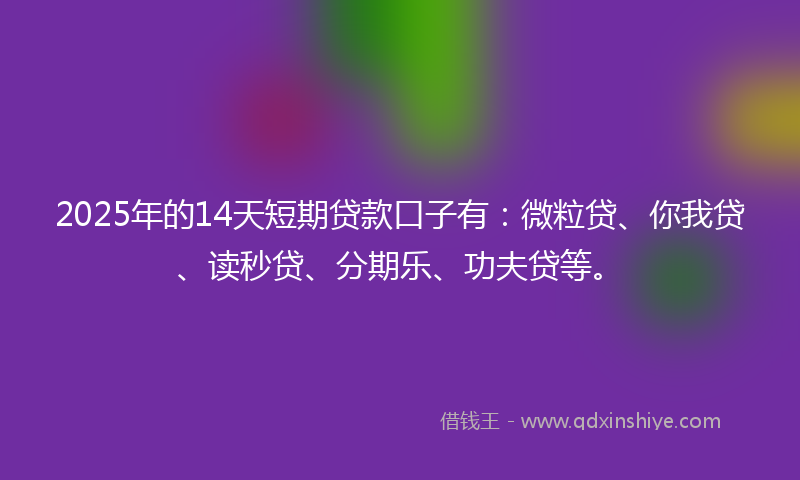 2025年的14天短期贷款口子有：微粒贷、你我贷、读秒贷、分期乐、功夫贷等。
