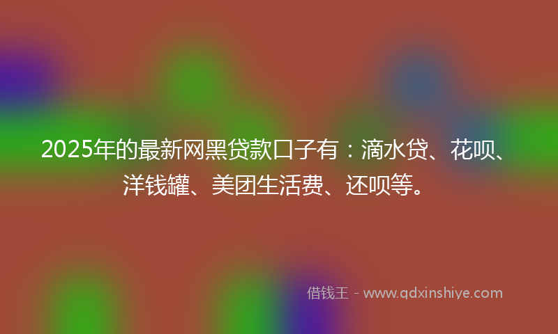 2025年的最新网黑贷款口子有：滴水贷、花呗、洋钱罐、美团生活费、还呗等。