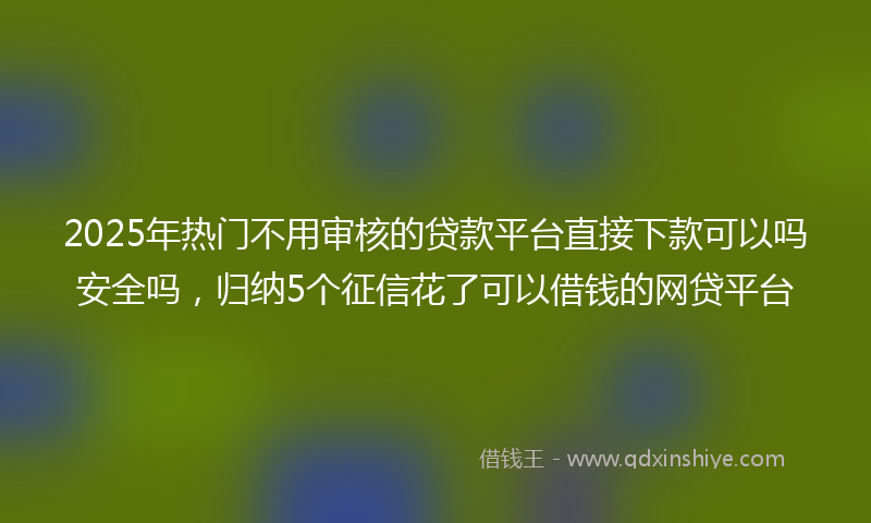 2025年热门不用审核的贷款平台直接下款可以吗安全吗，归纳5个征信花了可以借钱的网贷平台