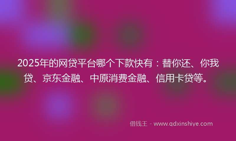 2025年的网贷平台哪个下款快有：替你还、你我贷、京东金融、中原消费金融、信用卡贷等。