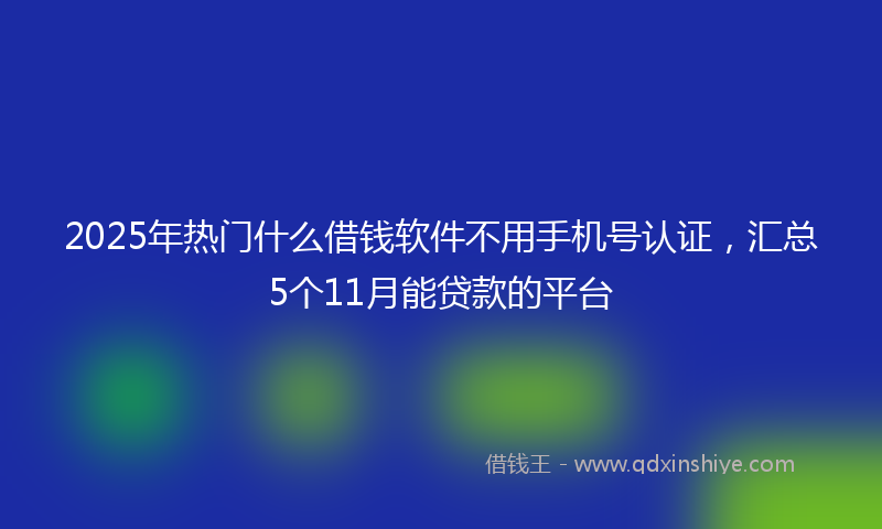 2025年热门什么借钱软件不用手机号认证，汇总5个11月能贷款的平台