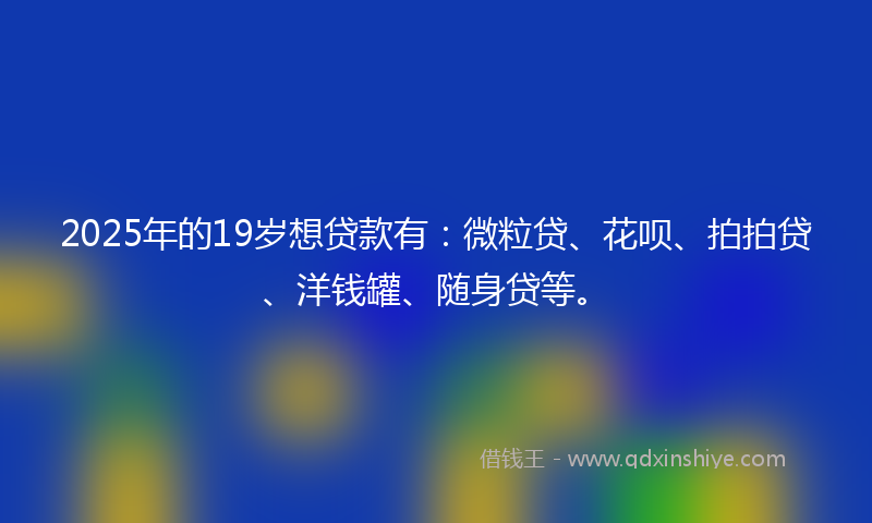 2025年的19岁想贷款有：微粒贷、花呗、拍拍贷、洋钱罐、随身贷等。