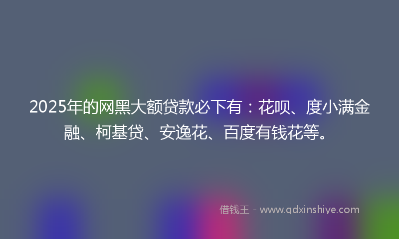 2025年的网黑大额贷款必下有：花呗、度小满金融、柯基贷、安逸花、百度有钱花等。