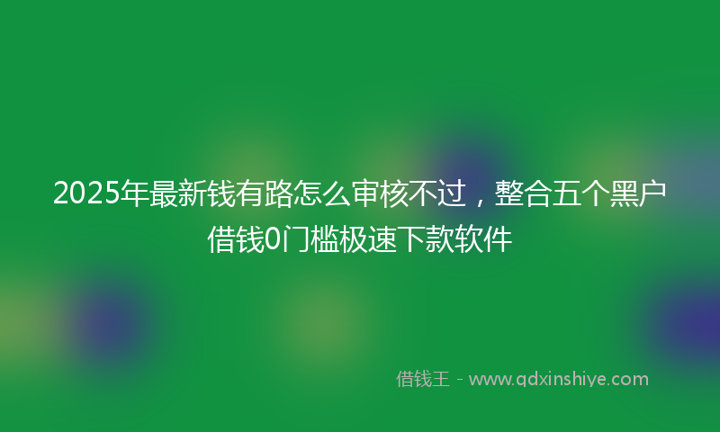 2025年最新钱有路怎么审核不过，整合五个黑户借钱0门槛极速下款软件