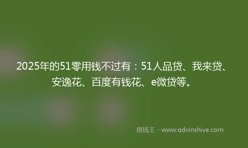 2025年的51零用钱不过有：51人品贷、我来贷、安逸花、百度有钱花、e微贷等。