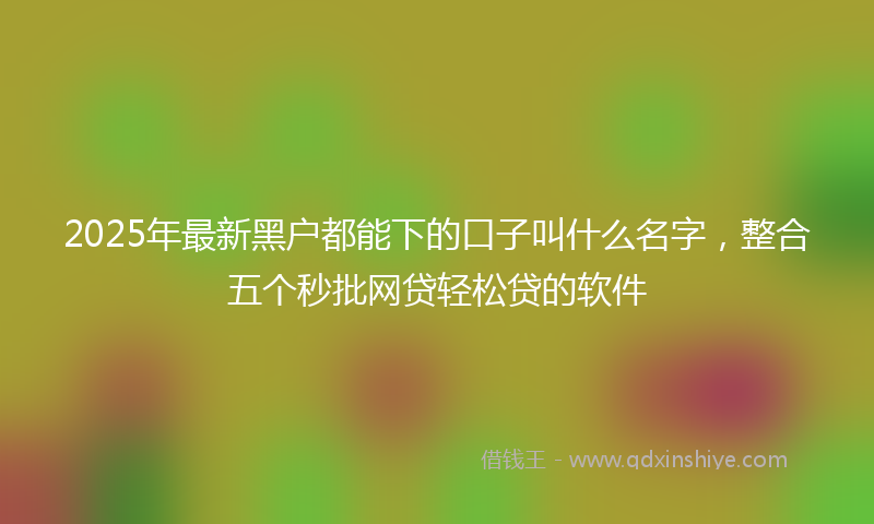 2025年最新黑户都能下的口子叫什么名字，整合五个秒批网贷轻松贷的软件