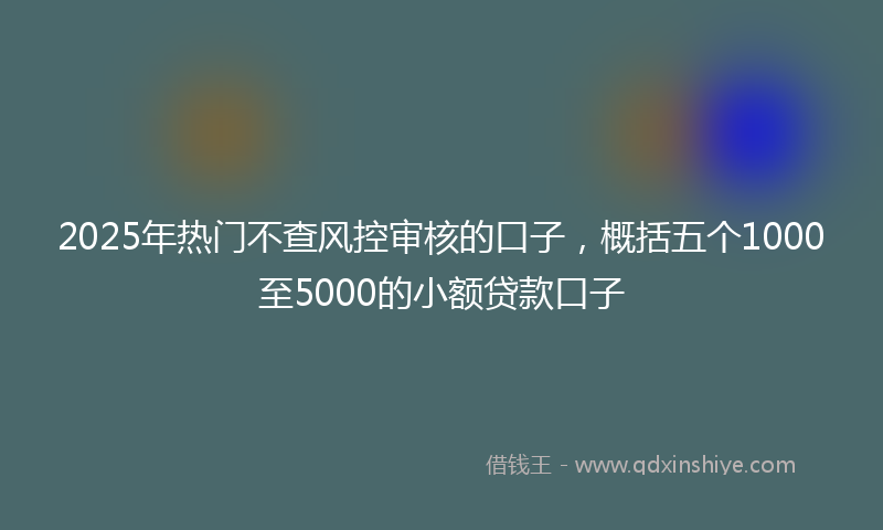 2025年热门不查风控审核的口子，概括五个1000至5000的小额贷款口子