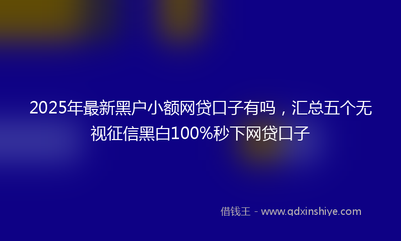 2025年最新黑户小额网贷口子有吗，汇总五个无视征信黑白100%秒下网贷口子