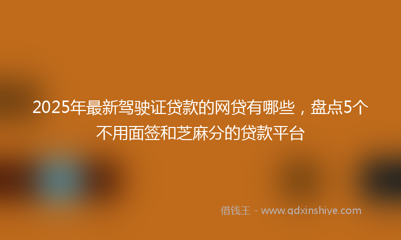 2025年最新驾驶证贷款的网贷有哪些，盘点5个不用面签和芝麻分的贷款平台