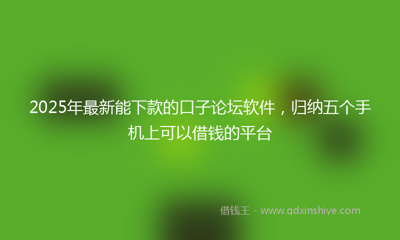 2025年最新能下款的口子论坛软件，归纳五个手机上可以借钱的平台