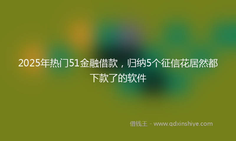 2025年热门51金融借款，归纳5个征信花居然都下款了的软件