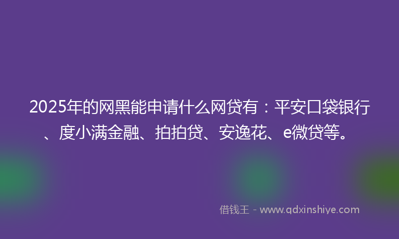 2025年的网黑能申请什么网贷有：平安口袋银行、度小满金融、拍拍贷、安逸花、e微贷等。