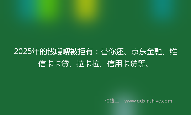 2025年的钱嗖嗖被拒有：替你还、京东金融、维信卡卡贷、拉卡拉、信用卡贷等。