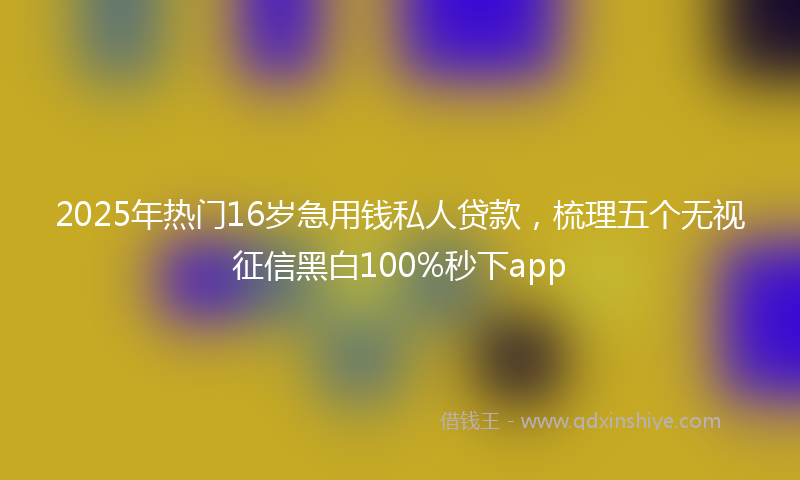 2025年热门16岁急用钱私人贷款，梳理五个无视征信黑白100%秒下app