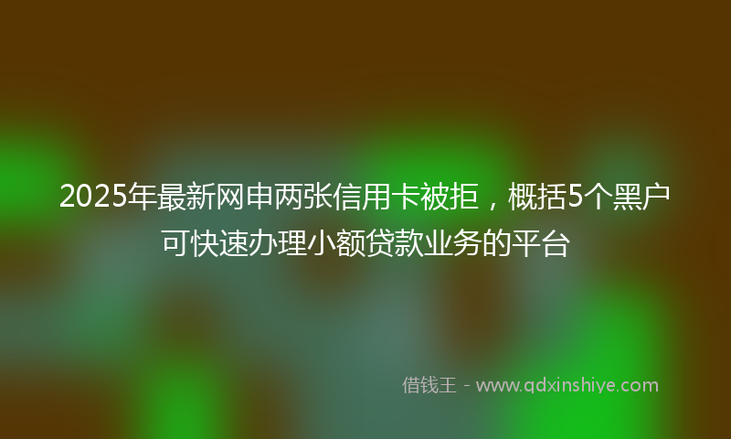 2025年最新网申两张信用卡被拒，概括5个黑户可快速办理小额贷款业务的平台