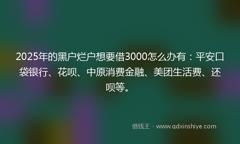 2025年的黑户烂户想要借3000怎么办有：平安口袋银行、花呗、中原消费金融、美团生活费、还呗等。